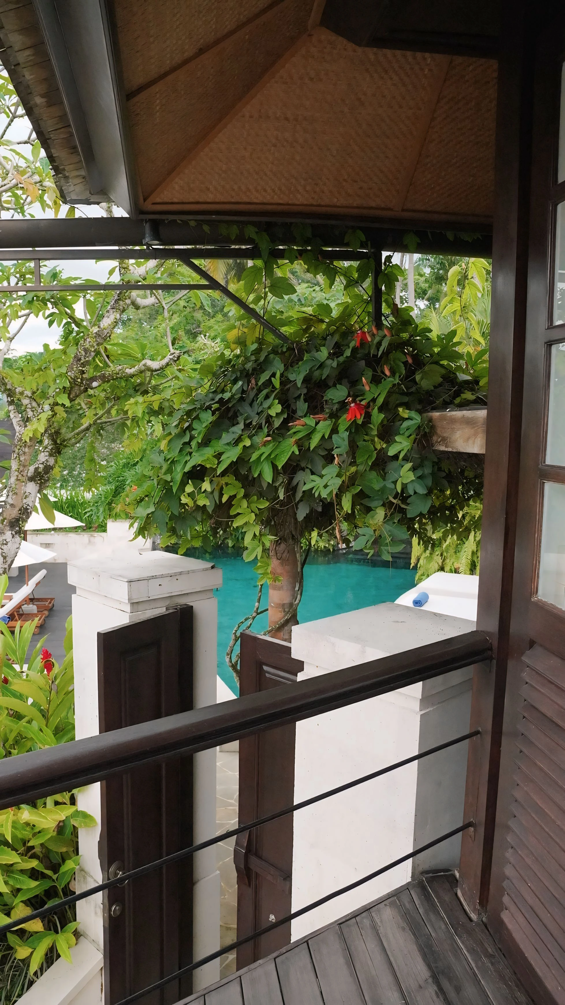 Portrait in soft natural light